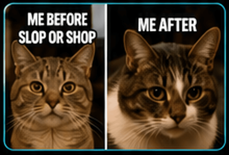 Before and after meme: a wary cat, then a calm, confident cat after using SlopOrShop
